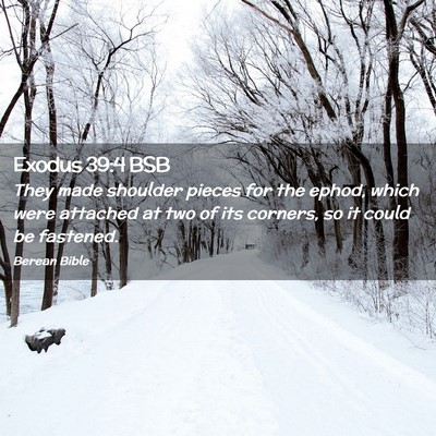 Picture 02 - Exodus 39:4 BSB - They made shoulder pieces for the ephod, which - Bible Verse Picture