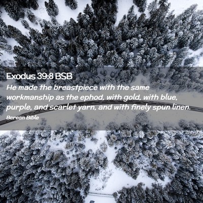 Picture 02 - Exodus 39:8 BSB - He made the breastpiece with the same workmanship - Bible Verse Picture