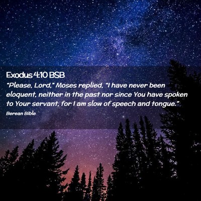 Picture 02 - Exodus 4:10 BSB - “Please, Lord,” Moses replied, “I have - Bible Verse Picture