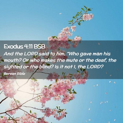 Picture 02 - Exodus 4:11 BSB - And the LORD said to him, “Who gave man his - Bible Verse Picture