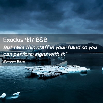 Picture 02 - Exodus 4:17 BSB - But take this staff in your hand so you can - Bible Verse Picture