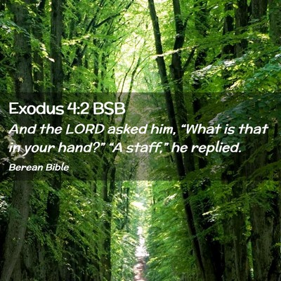 Picture 02 - Exodus 4:2 BSB - And the LORD asked him, “What is that in your - Bible Verse Picture