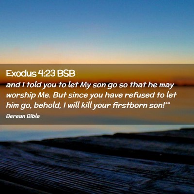 Picture 02 - Exodus 4:23 BSB - and I told you to let My son go so that he may - Bible Verse Picture