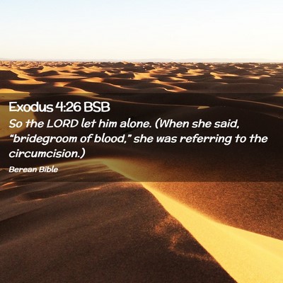 Picture 02 - Exodus 4:26 BSB - So the LORD let him alone. (When she said, - Bible Verse Picture