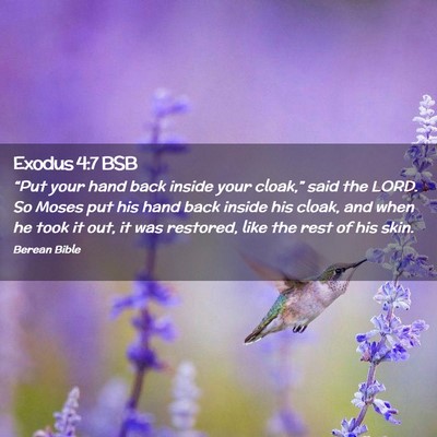 Picture 02 - Exodus 4:7 BSB - “Put your hand back inside your cloak,” said - Bible Verse Picture