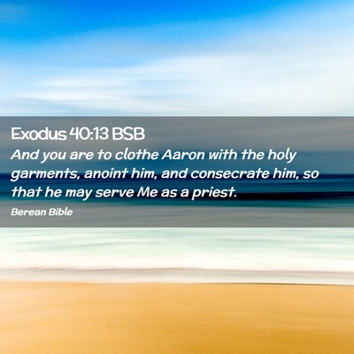 Picture 02 - Exodus 40:13 BSB - And you are to clothe Aaron with the holy - Bible Verse Picture
