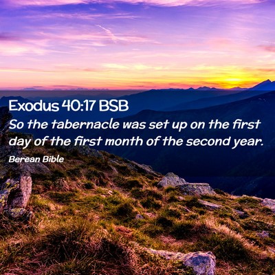 Picture 02 - Exodus 40:17 BSB - So the tabernacle was set up on the first day of - Bible Verse Picture