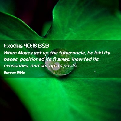 Picture 02 - Exodus 40:18 BSB - When Moses set up the tabernacle, he laid its - Bible Verse Picture