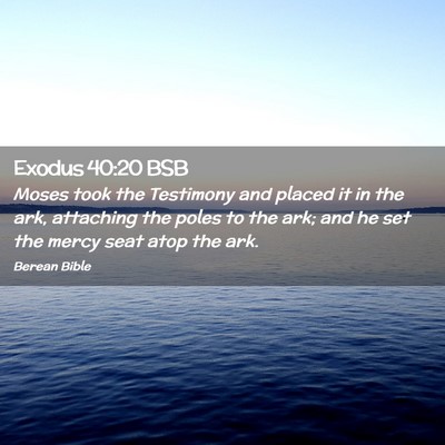 Picture 02 - Exodus 40:20 BSB - Moses took the Testimony and placed it in the - Bible Verse Picture