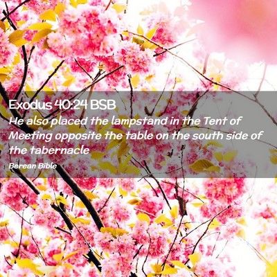 Picture 02 - Exodus 40:24 BSB - He also placed the lampstand in the Tent of - Bible Verse Picture