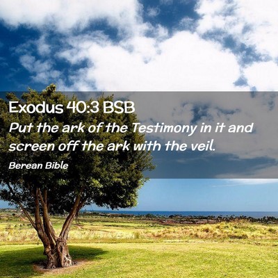 Picture 02 - Exodus 40:3 BSB - Put the ark of the Testimony in it and screen off - Bible Verse Picture