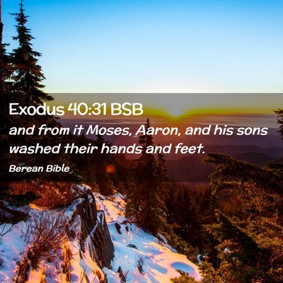 Picture 02 - Exodus 40:31 BSB - and from it Moses, Aaron, and his sons washed - Bible Verse Picture