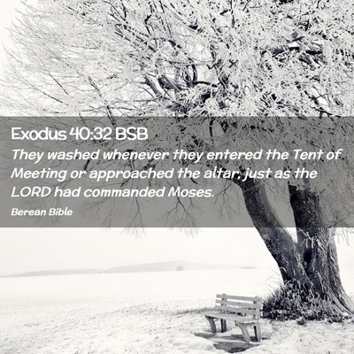 Picture 02 - Exodus 40:32 BSB - They washed whenever they entered the Tent of - Bible Verse Picture