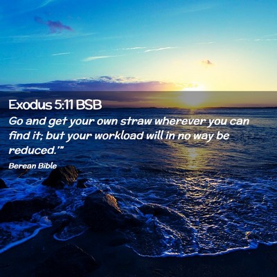 Picture 02 - Exodus 5:11 BSB - Go and get your own straw wherever you can find - Bible Verse Picture
