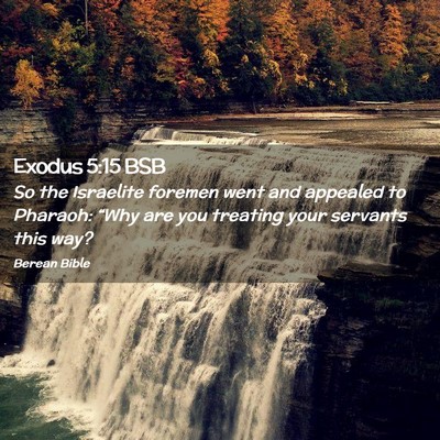 Picture 02 - Exodus 5:15 BSB - So the Israelite foremen went and appealed to - Bible Verse Picture