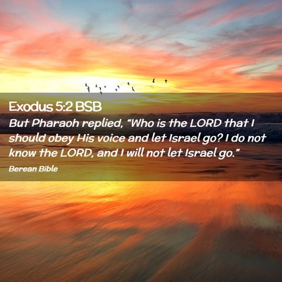 Picture 02 - Exodus 5:2 BSB - But Pharaoh replied, “Who is the LORD that I - Bible Verse Picture