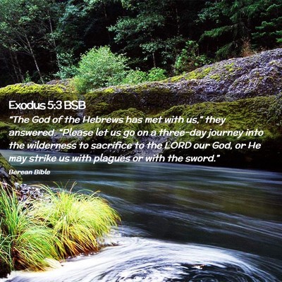 Picture 02 - Exodus 5:3 BSB - “The God of the Hebrews has met with us,” - Bible Verse Picture