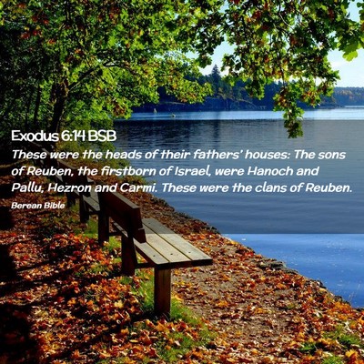 Picture 02 - Exodus 6:14 BSB - These were the heads of their fathers’ houses: - Bible Verse Picture