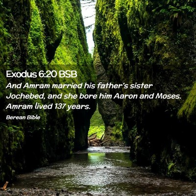 Picture 02 - Exodus 6:20 BSB - And Amram married his father’s sister Jochebed, - Bible Verse Picture