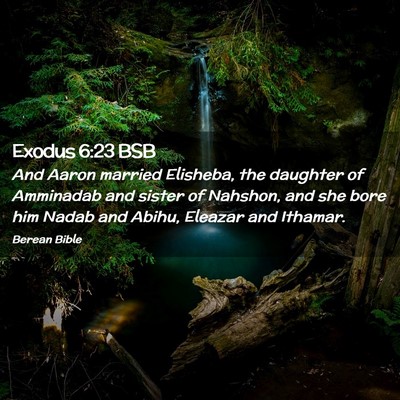 Picture 02 - Exodus 6:23 BSB - And Aaron married Elisheba, the daughter of - Bible Verse Picture