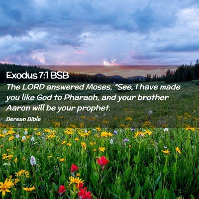 Picture 02 - Exodus 7:1 BSB - The LORD answered Moses, “See, I have made you - Bible Verse Picture