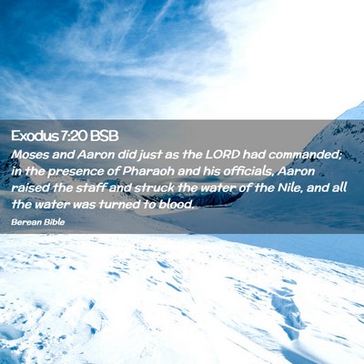 Picture 02 - Exodus 7:20 BSB - Moses and Aaron did just as the LORD had - Bible Verse Picture