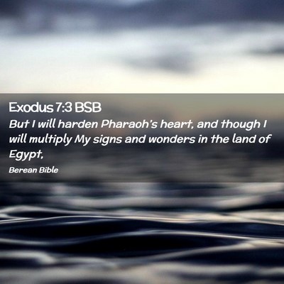 Picture 02 - Exodus 7:3 BSB - But I will harden Pharaoh’s heart, and though I - Bible Verse Picture