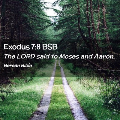 Picture 02 - Exodus 7:8 BSB - The LORD said to Moses and - Bible Verse Picture