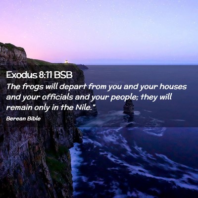 Picture 02 - Exodus 8:11 BSB - The frogs will depart from you and your houses - Bible Verse Picture