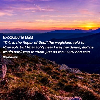 Picture 02 - Exodus 8:19 BSB - “This is the finger of God,” the magicians - Bible Verse Picture