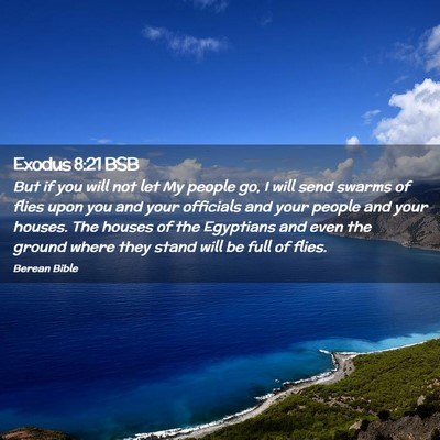 Picture 02 - Exodus 8:21 BSB - But if you will not let My people go, I will send - Bible Verse Picture