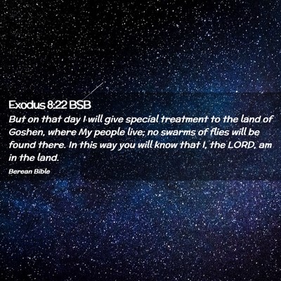 Picture 02 - Exodus 8:22 BSB - But on that day I will give special treatment to - Bible Verse Picture