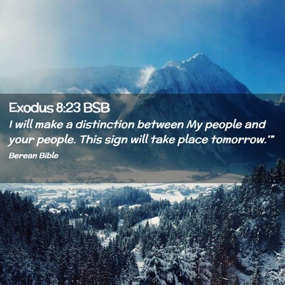 Picture 02 - Exodus 8:23 BSB - I will make a distinction between My people and - Bible Verse Picture