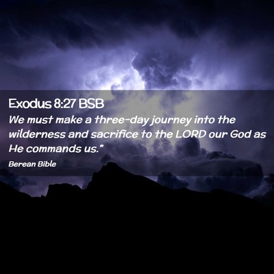 Picture 02 - Exodus 8:27 BSB - We must make a three-day journey into the - Bible Verse Picture