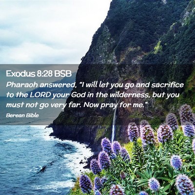 Picture 02 - Exodus 8:28 BSB - Pharaoh answered, “I will let you go and - Bible Verse Picture