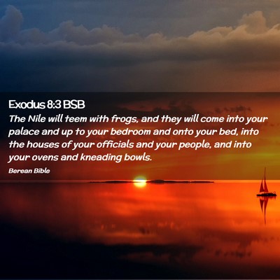 Picture 02 - Exodus 8:3 BSB - The Nile will teem with frogs, and they will come - Bible Verse Picture