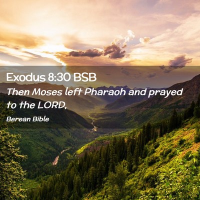 Picture 02 - Exodus 8:30 BSB - Then Moses left Pharaoh and prayed to the - Bible Verse Picture