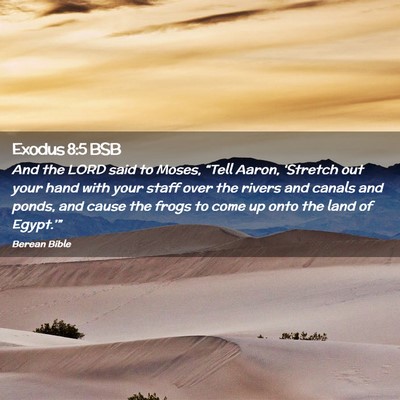 Picture 02 - Exodus 8:5 BSB - And the LORD said to Moses, “Tell Aaron, - Bible Verse Picture