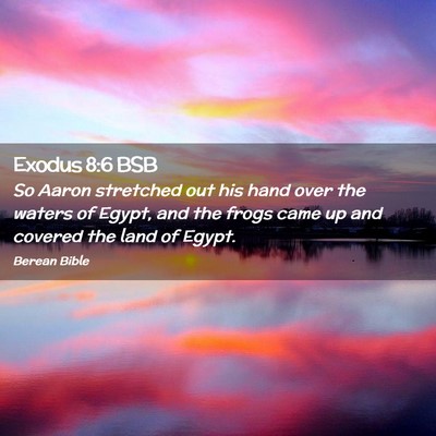Picture 02 - Exodus 8:6 BSB - So Aaron stretched out his hand over the waters - Bible Verse Picture