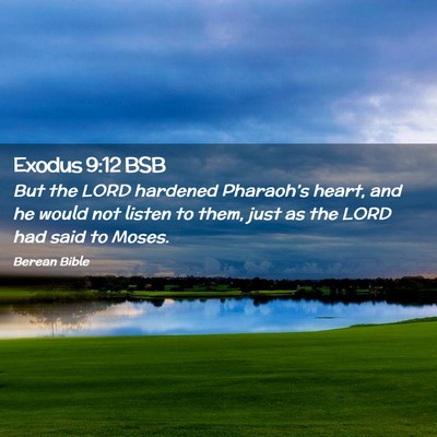 Picture 02 - Exodus 9:12 BSB - But the LORD hardened Pharaoh’s heart, and he - Bible Verse Picture