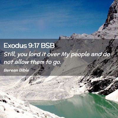 Picture 02 - Exodus 9:17 BSB - Still, you lord it over My people and do not - Bible Verse Picture