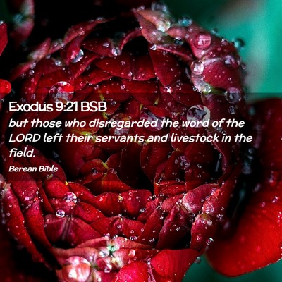 Picture 02 - Exodus 9:21 BSB - but those who disregarded the word of the LORD - Bible Verse Picture