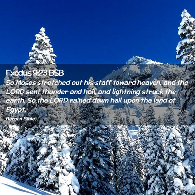Picture 02 - Exodus 9:23 BSB - So Moses stretched out his staff toward heaven, - Bible Verse Picture