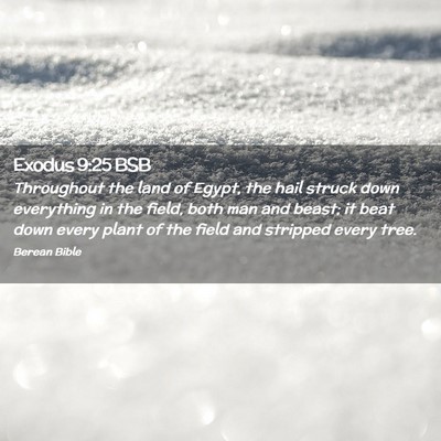 Picture 02 - Exodus 9:25 BSB - Throughout the land of Egypt, the hail struck - Bible Verse Picture