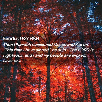 Picture 02 - Exodus 9:27 BSB - Then Pharaoh summoned Moses and Aaron. “This - Bible Verse Picture