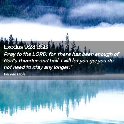 Picture 02 - Exodus 9:28 BSB - Pray to the LORD, for there has been enough of - Bible Verse Picture