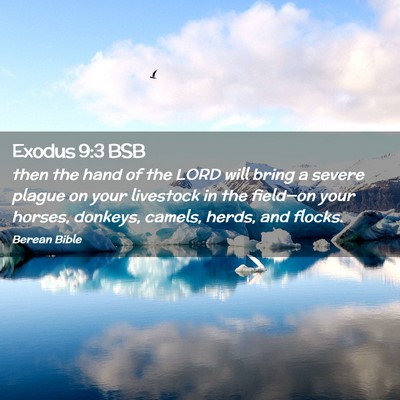Picture 02 - Exodus 9:3 BSB - then the hand of the LORD will bring a severe - Bible Verse Picture