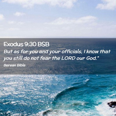 Picture 02 - Exodus 9:30 BSB - But as for you and your officials, I know that - Bible Verse Picture