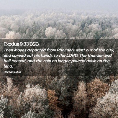 Picture 02 - Exodus 9:33 BSB - Then Moses departed from Pharaoh, went out of the - Bible Verse Picture