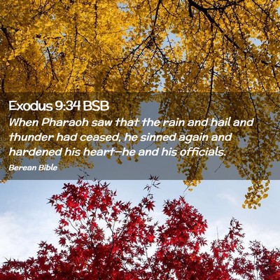 Picture 02 - Exodus 9:34 BSB - When Pharaoh saw that the rain and hail and - Bible Verse Picture